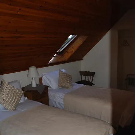 B&B Carbery Guest 슐