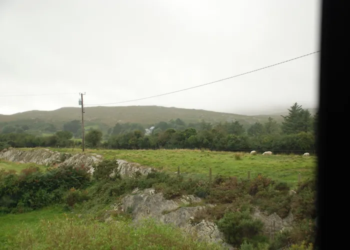 Carbery Guest 4*
