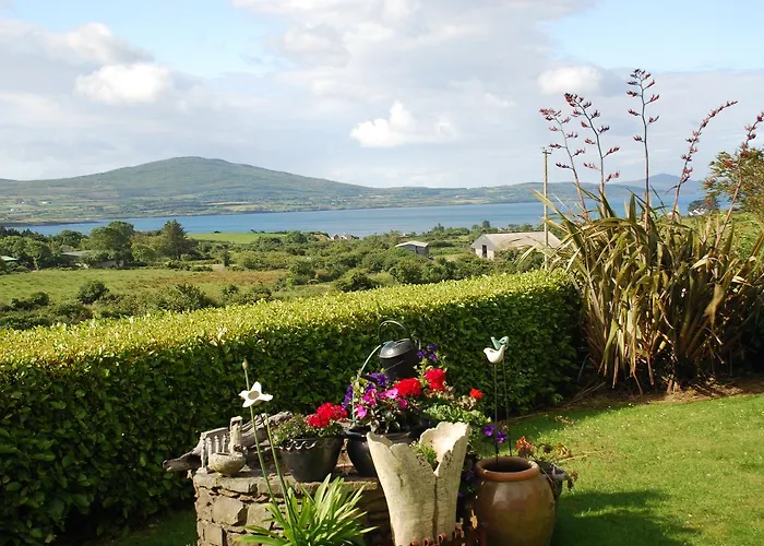 Carbery Guest 4*