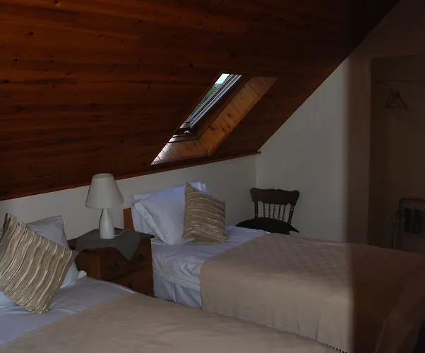 B&B Carbery Guest 슐